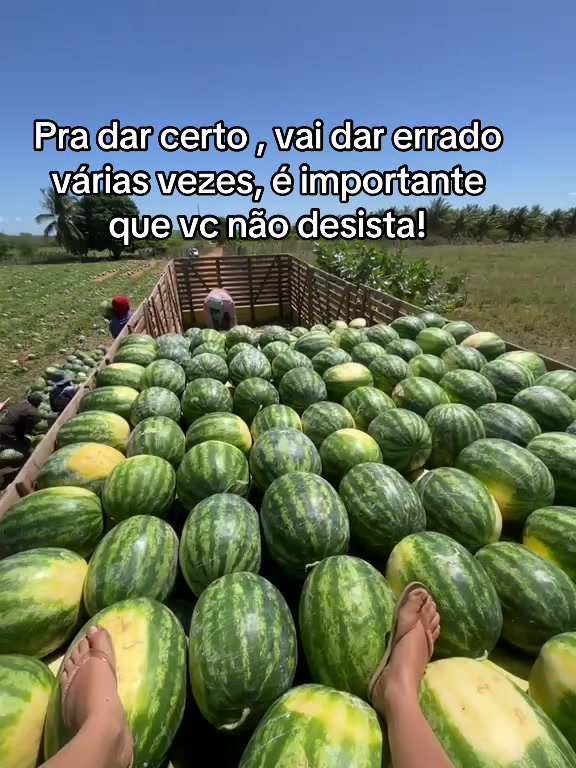 @Rainha da melancia 🍉