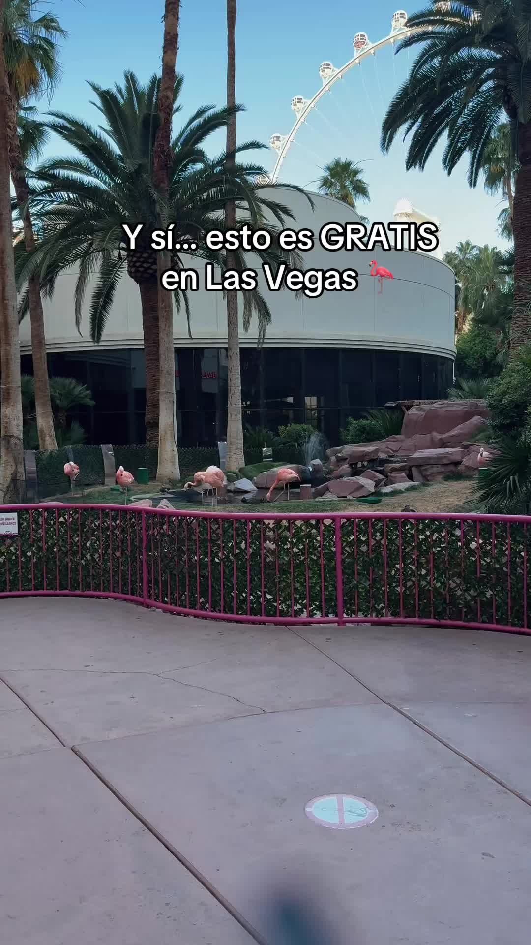 @Jelimero