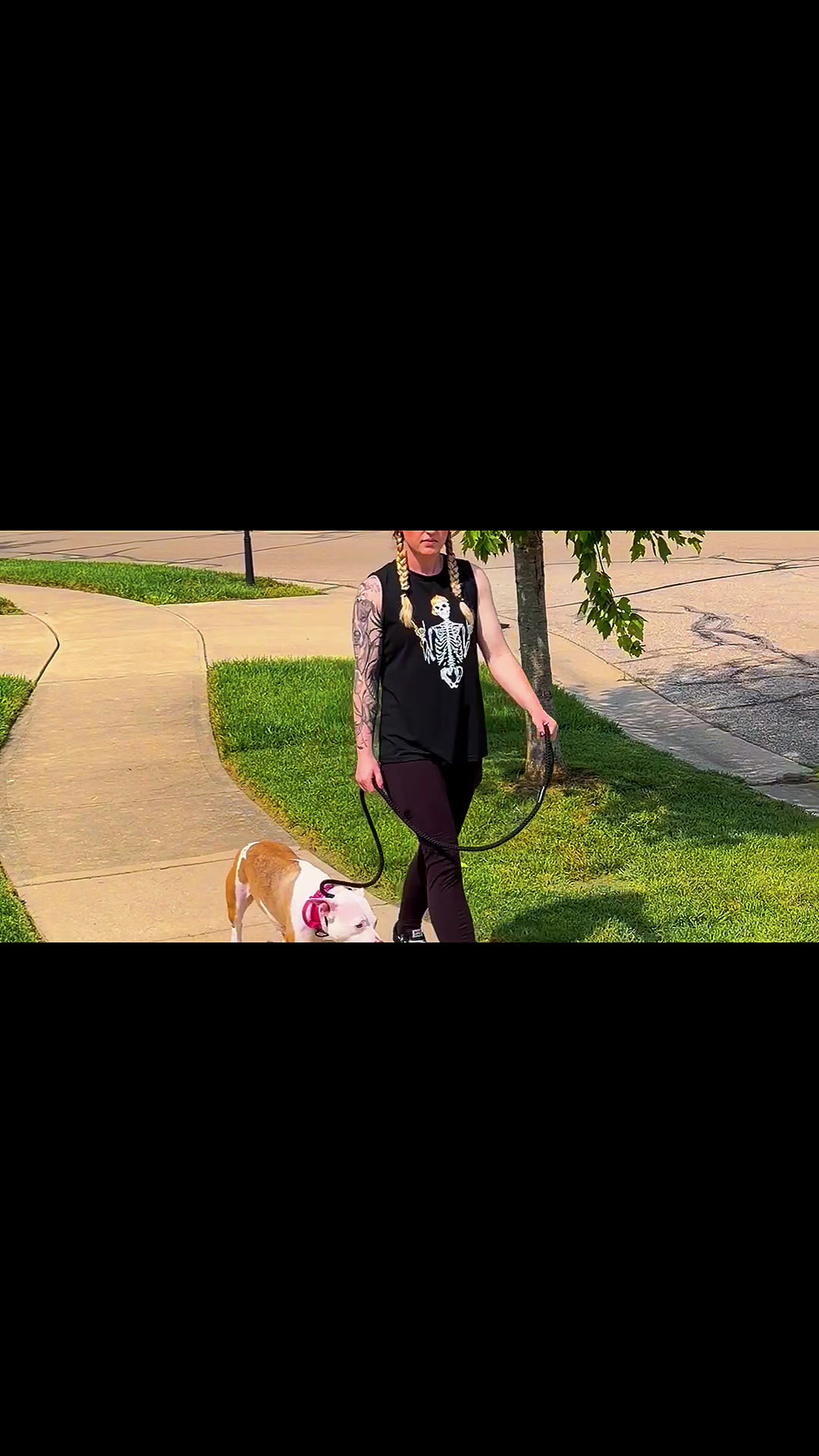 @ChampionK9DogTraining