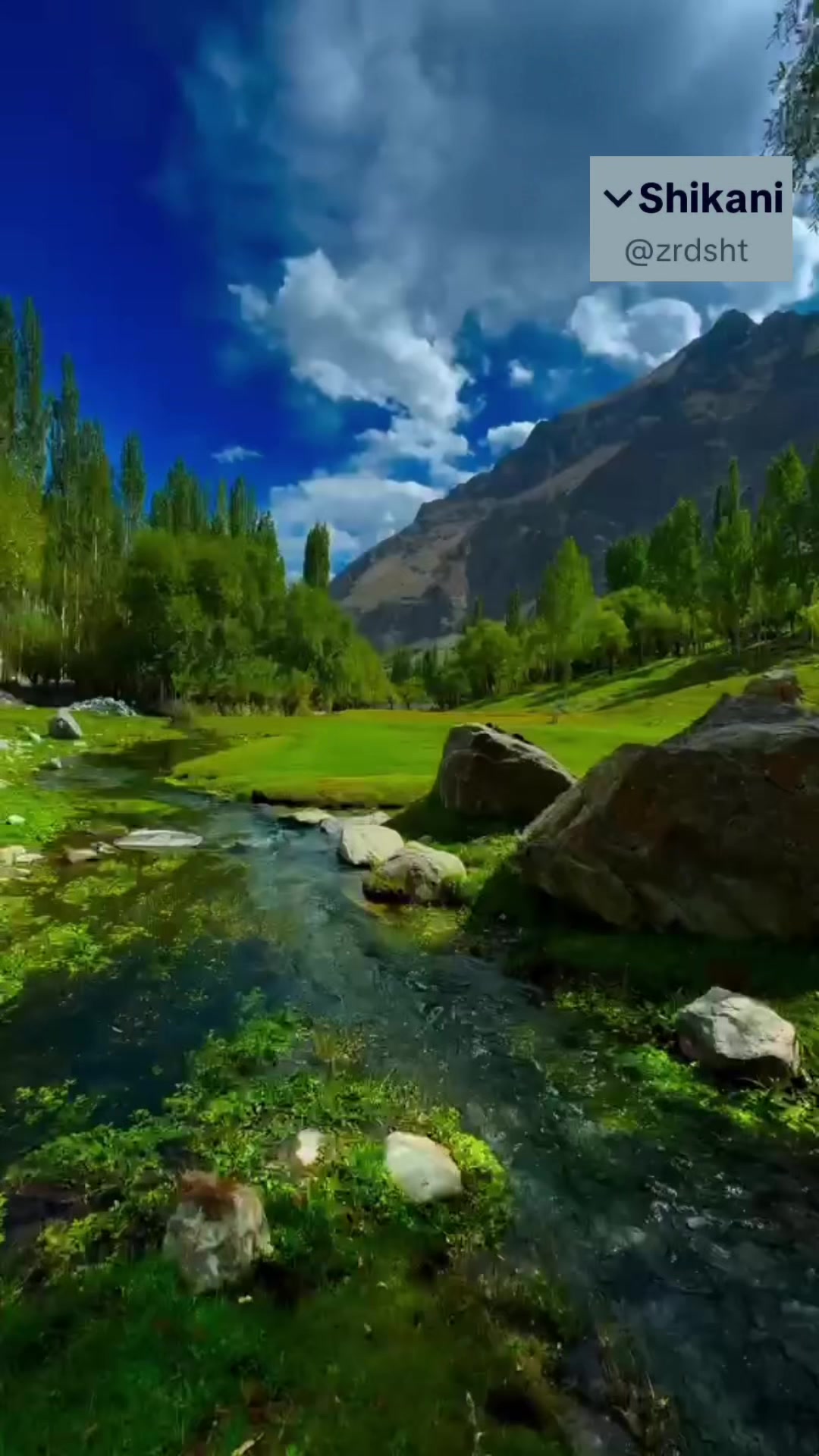 @Shexani