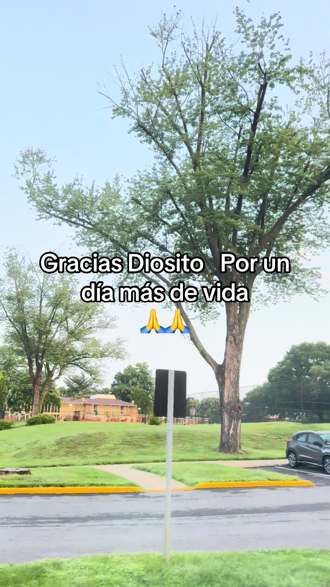@Agusto Hern&aacute;ndez