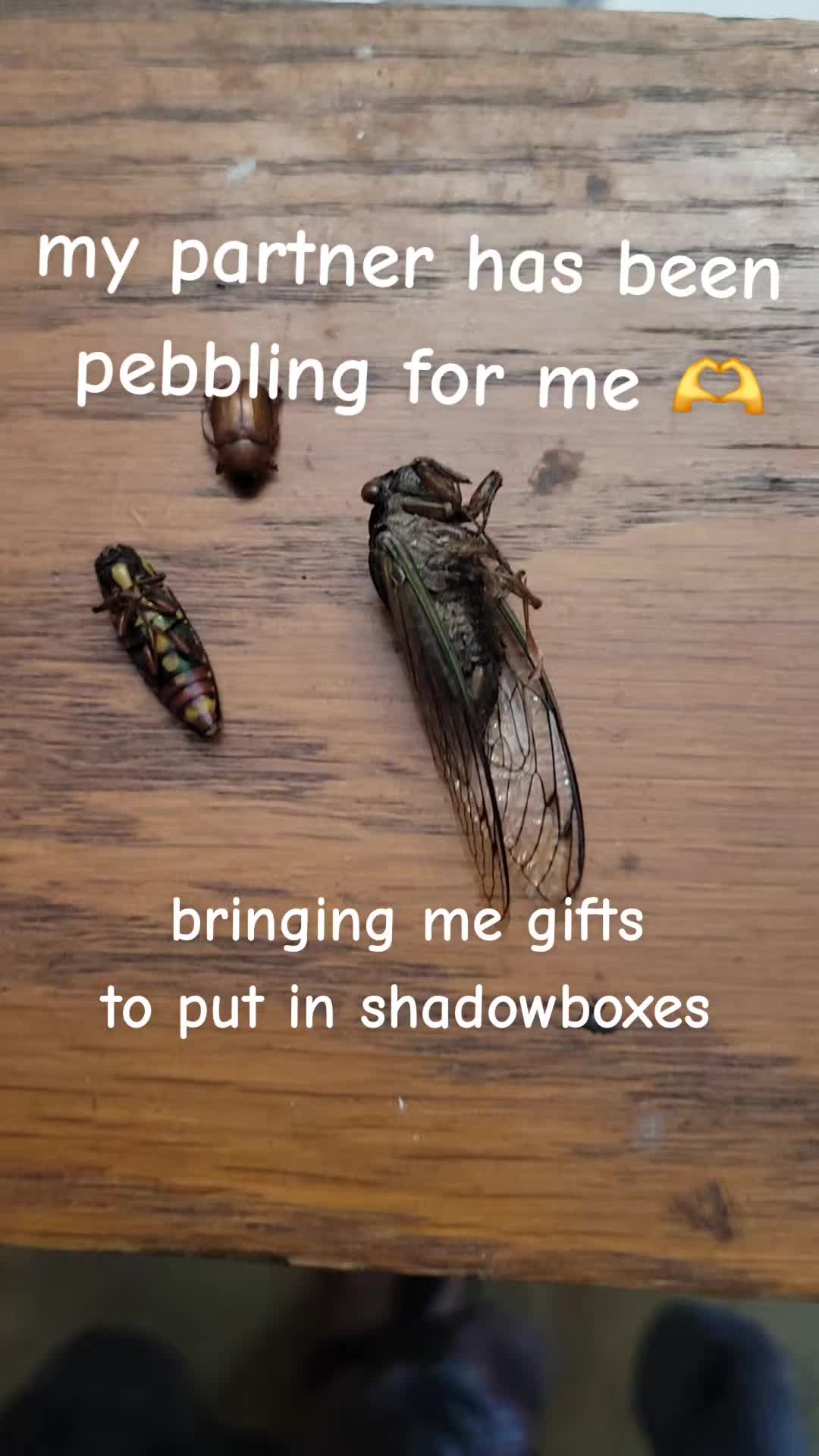 @Khepriskorner