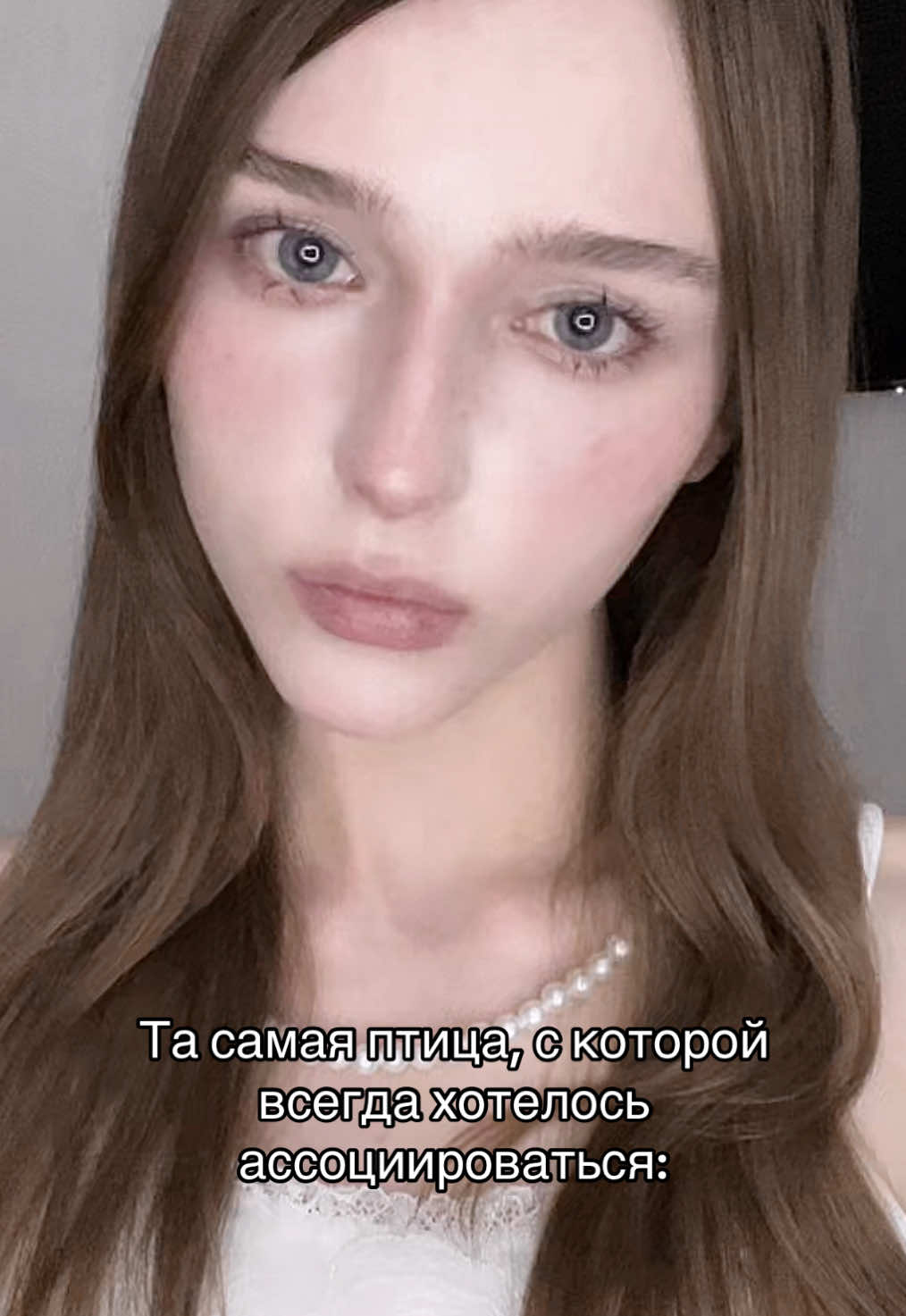 @₊⊹𝐾𝑂𝑅𝑁𝐸𝐿𝐼𝐴 𝑚𝑖𝑢 𐙚 ̊