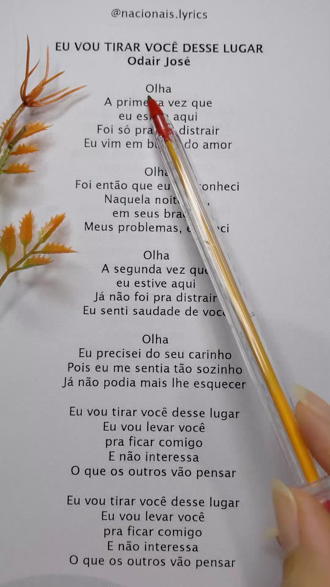@nacionais lyrics
