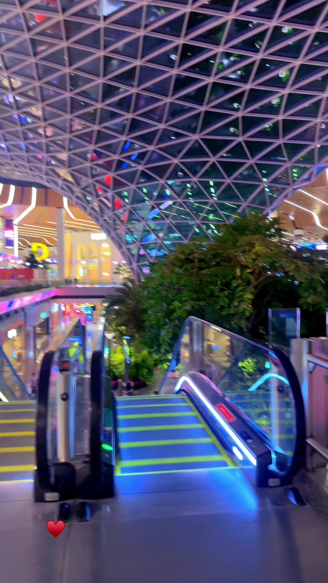 @・゚✮ 𝒮𝑒𝓉𝒶𝓇𝒶 ✮゚・