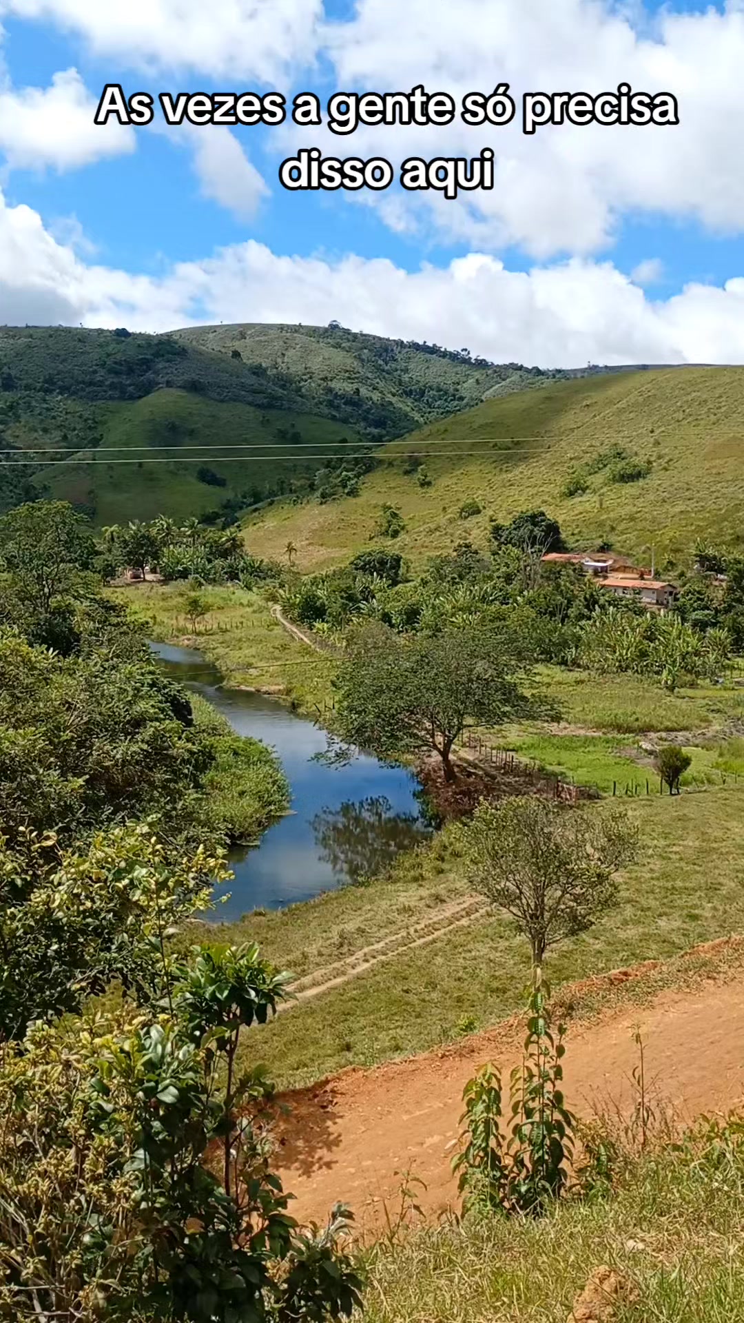 @Roça 🤠🌱