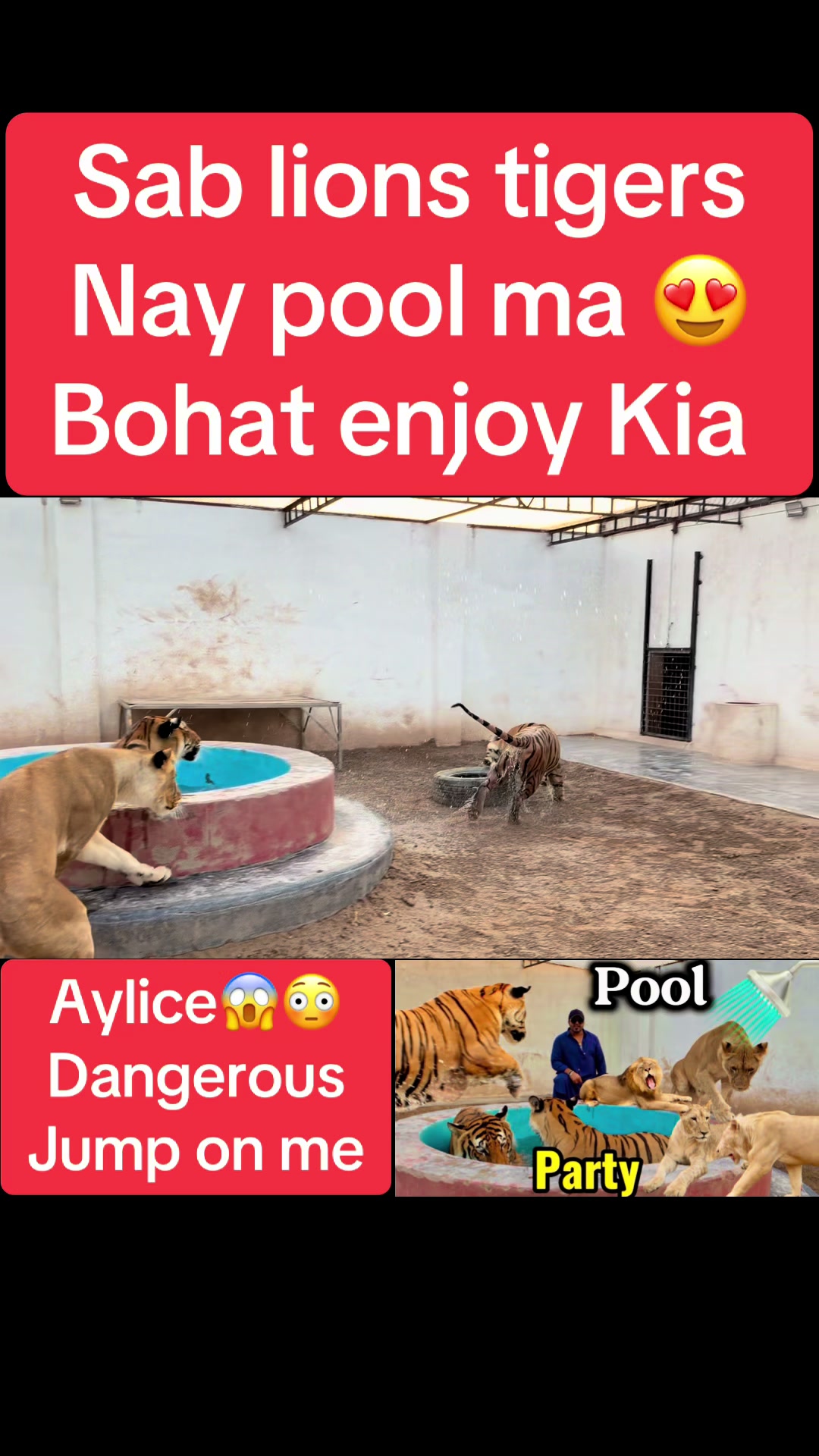 @Mian saqib