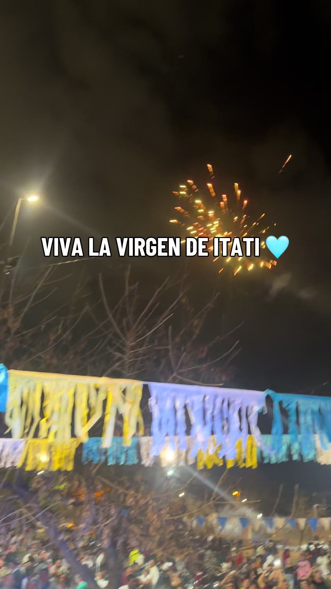 @losprincipesdemis