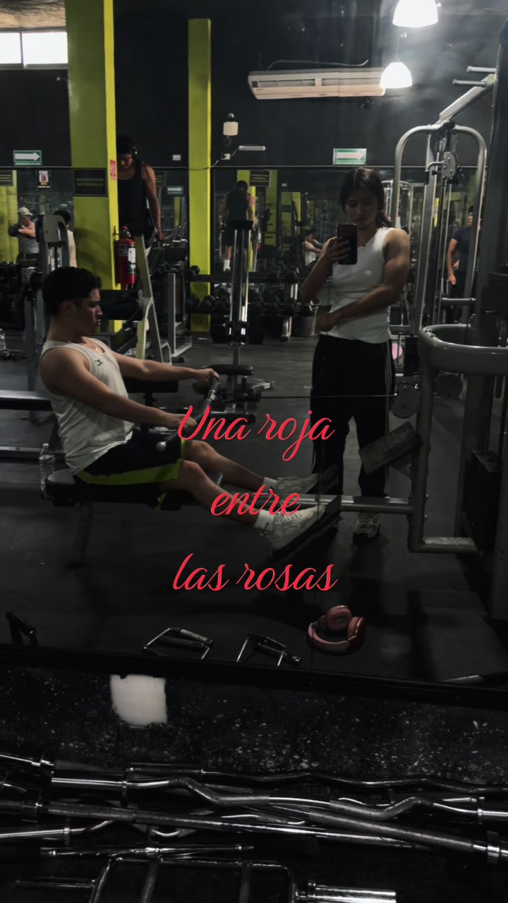 @piolin