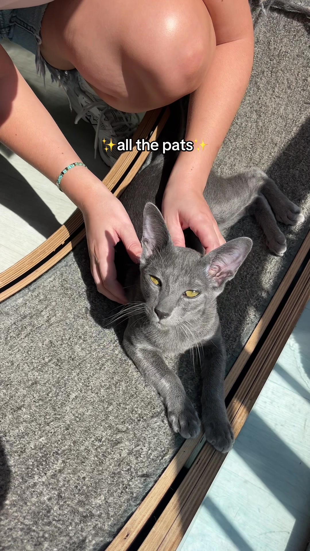 @crazycatcafe
