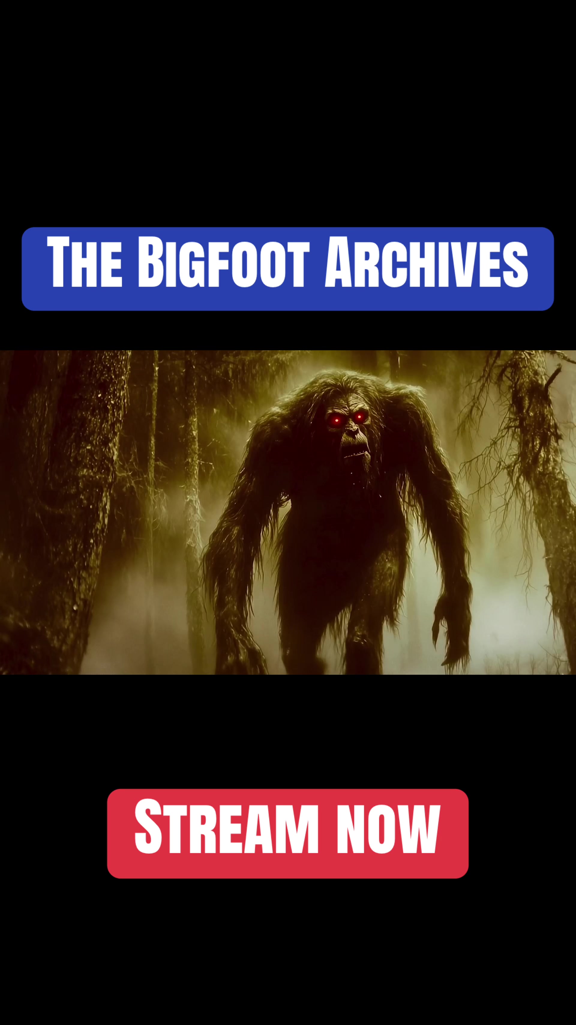 @ScareNetwork.tv