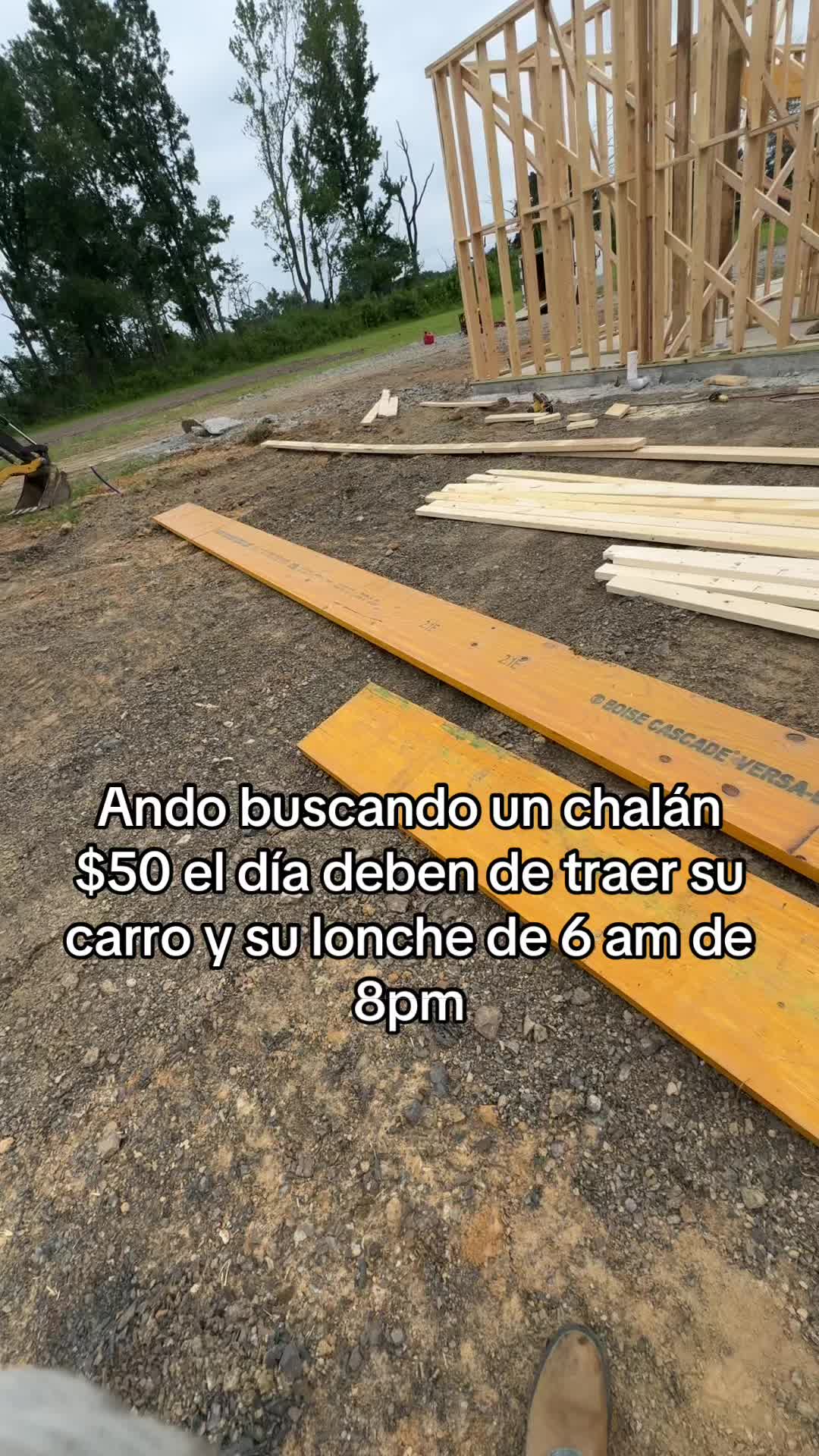 @qiique🕷️