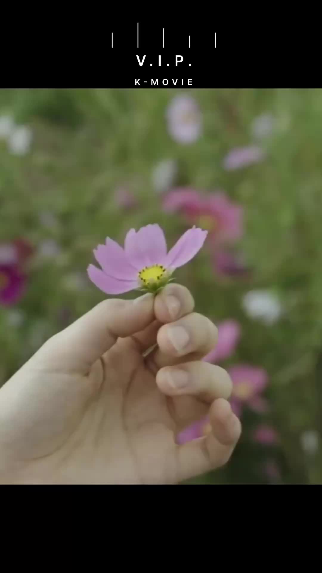 @Amor por lo asi&aacute;tico