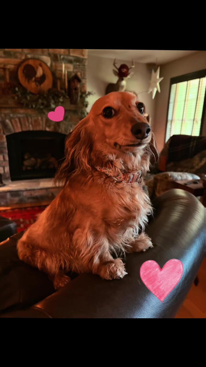 @Cricket Bug The Weenie