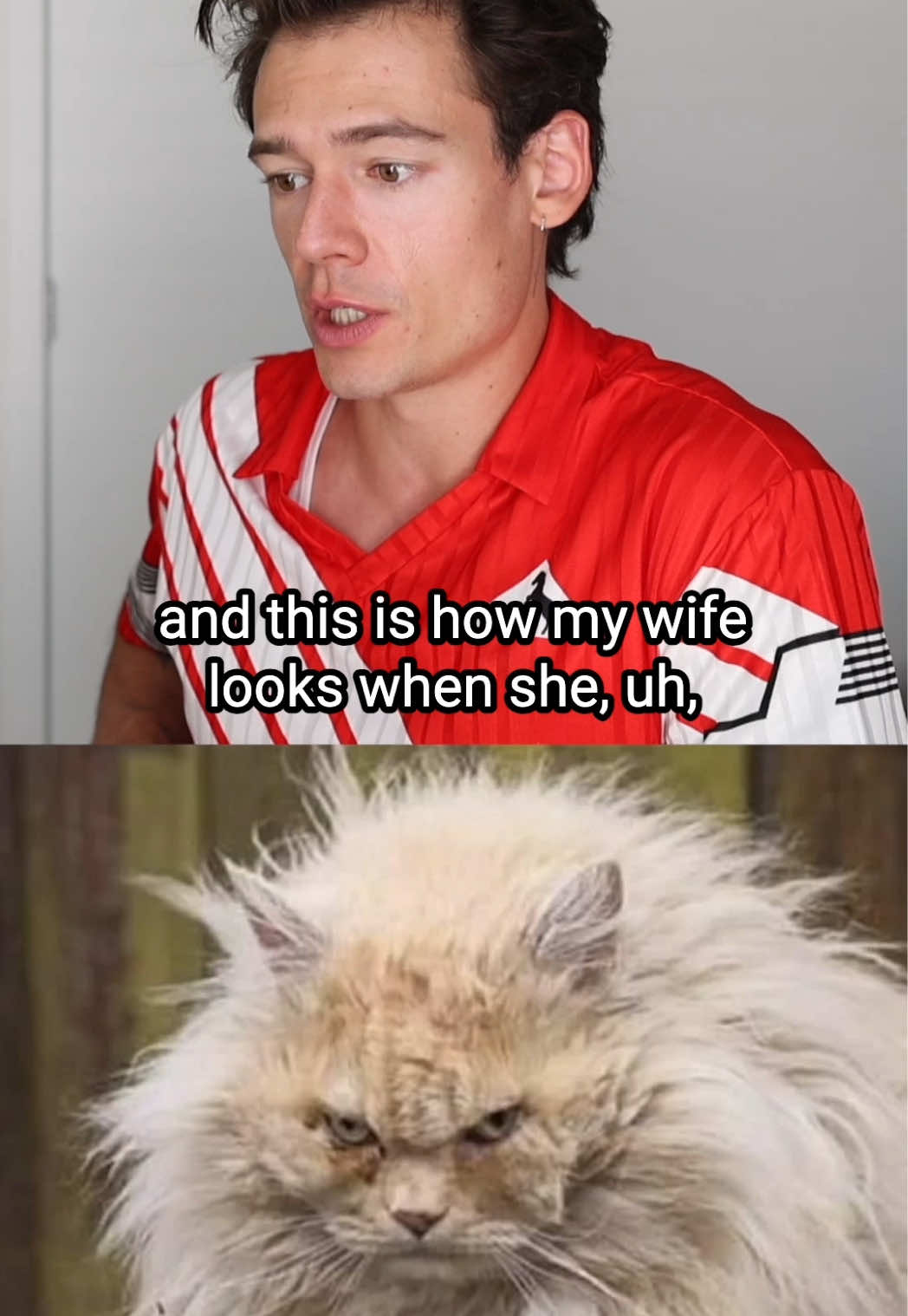@Mario Adrion