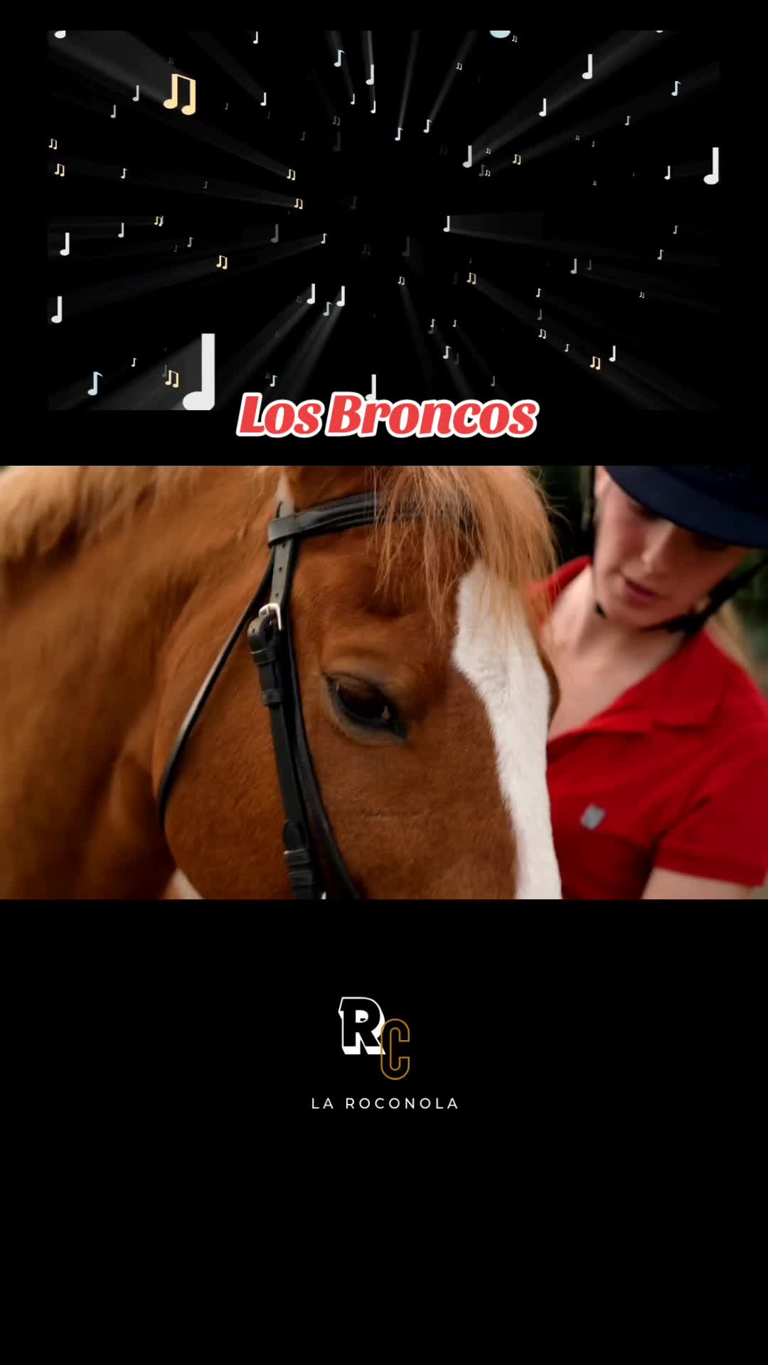 @La Roconola