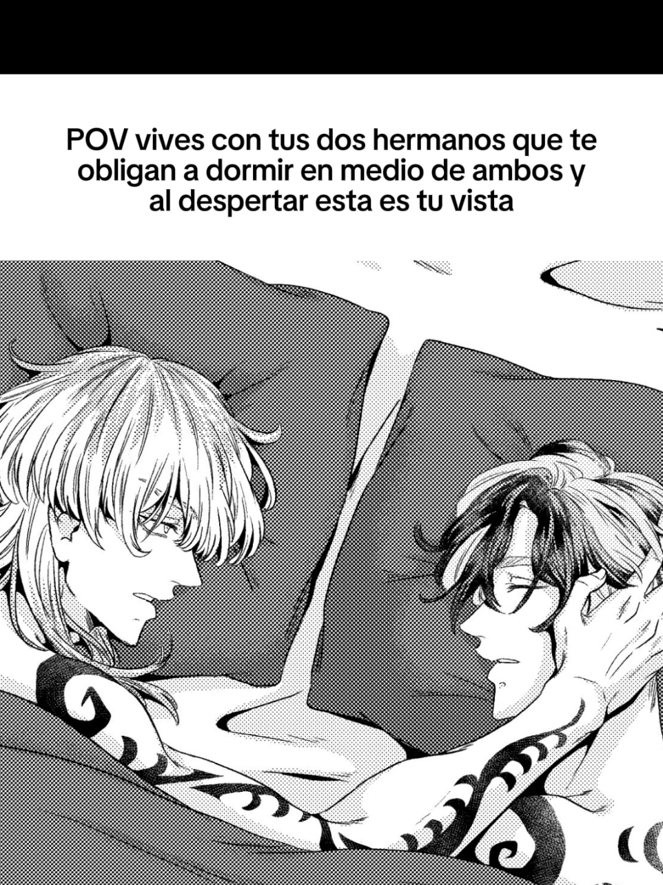 @Soy un gato escritor