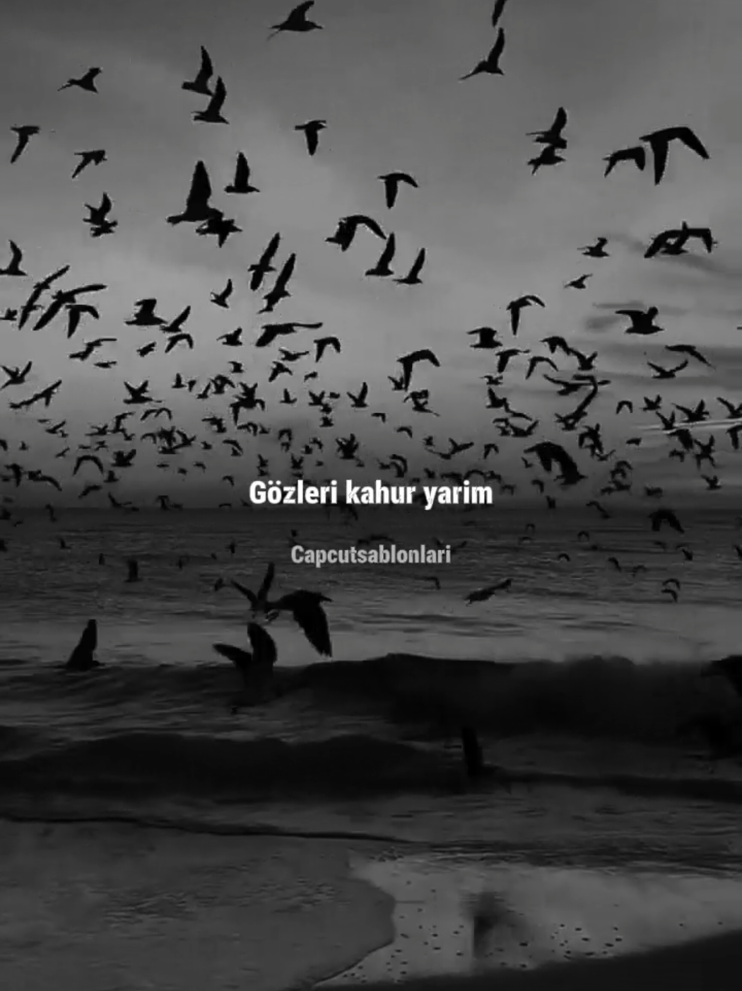 @Capcut Şablonları