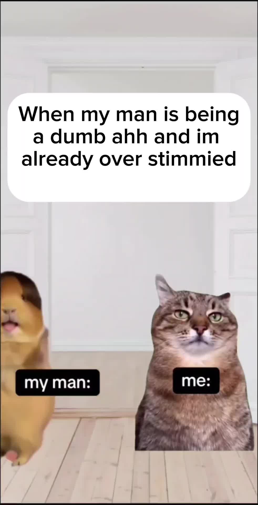 @RAY