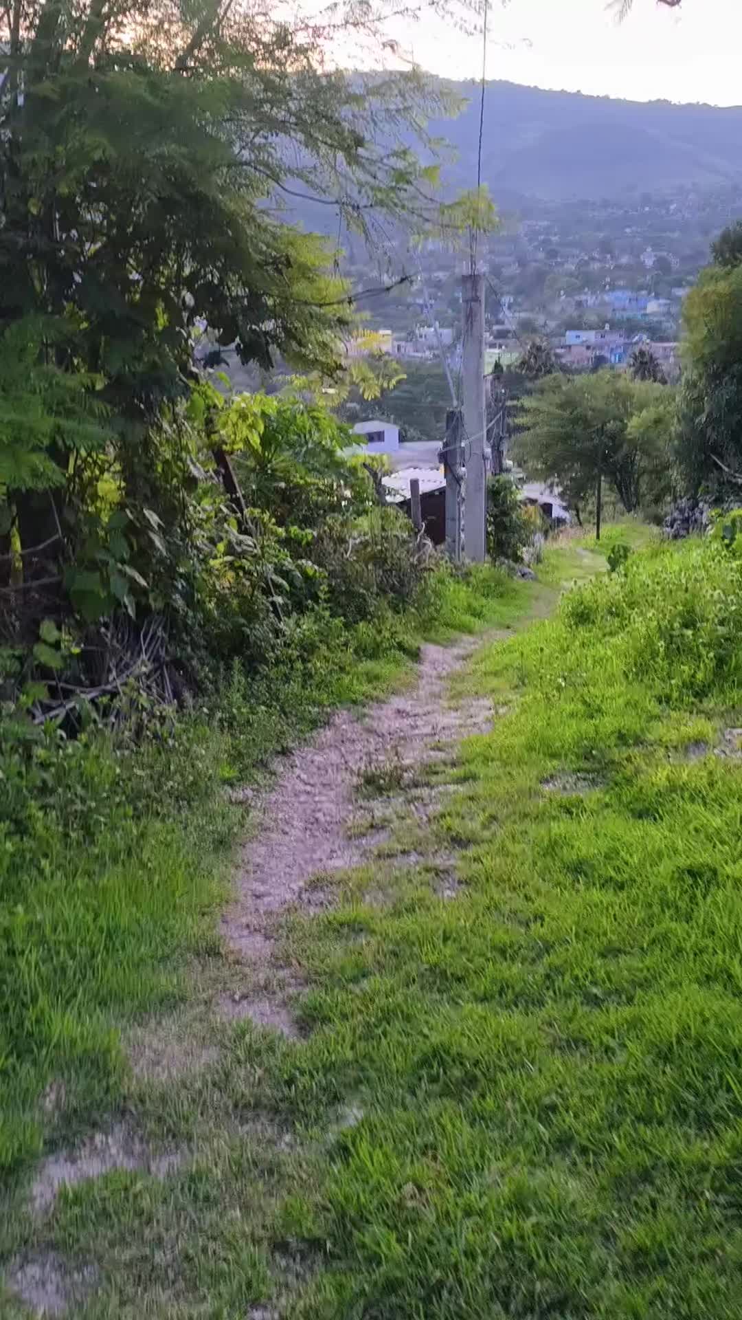 @ismael.ortiz