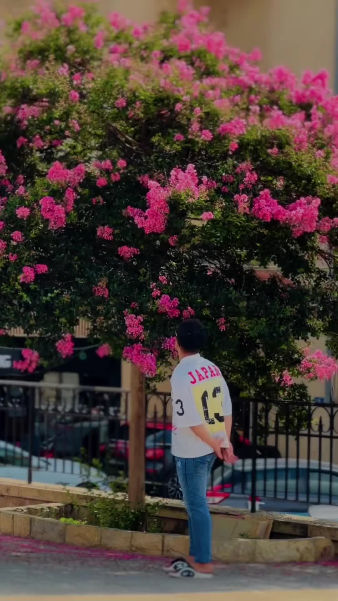 @🤯 J o Y e L 🌸