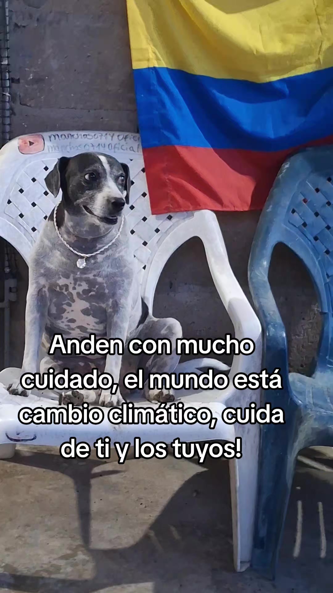 @MANCHAS 0714 OFICIAL