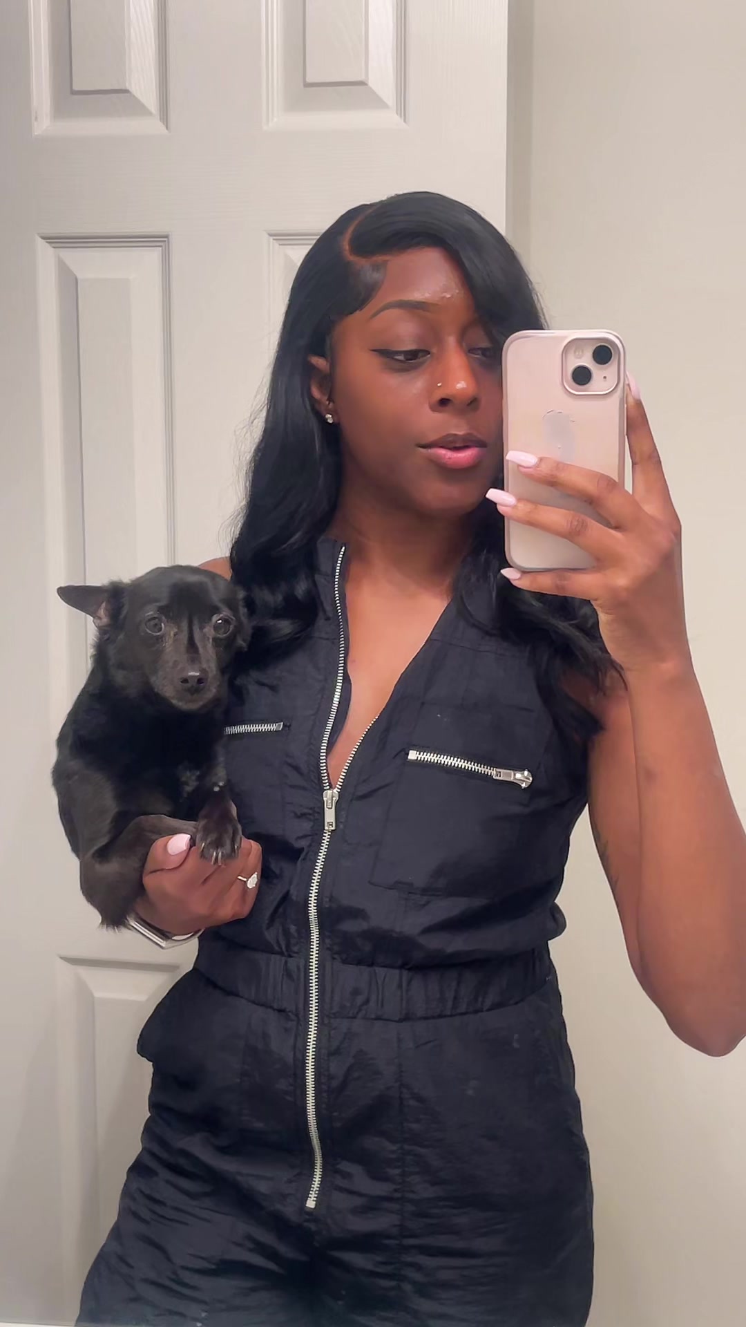 @Blackjack_Chihuahua