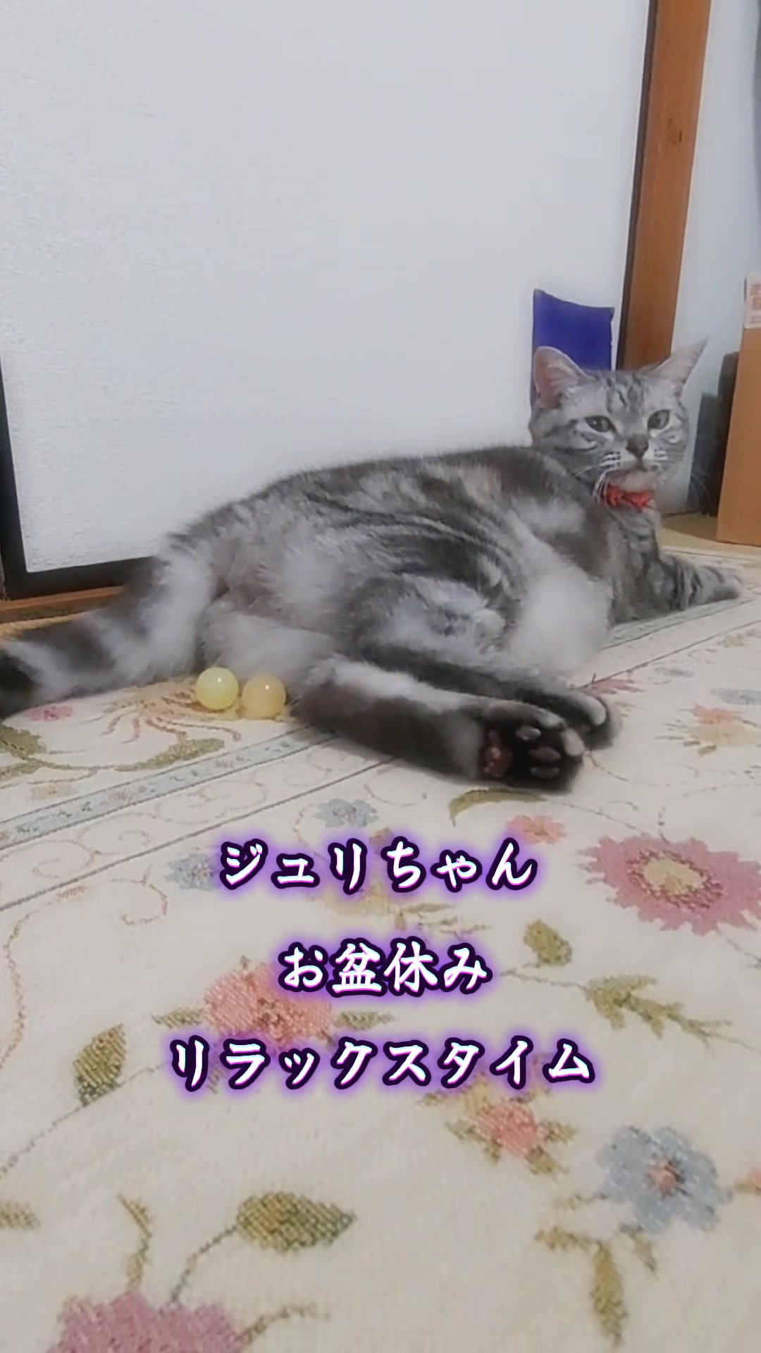 @ジュリちゃん