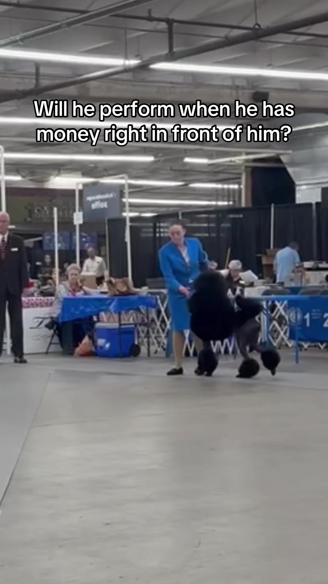 @Emmabelle + Poods 🐩🤍
