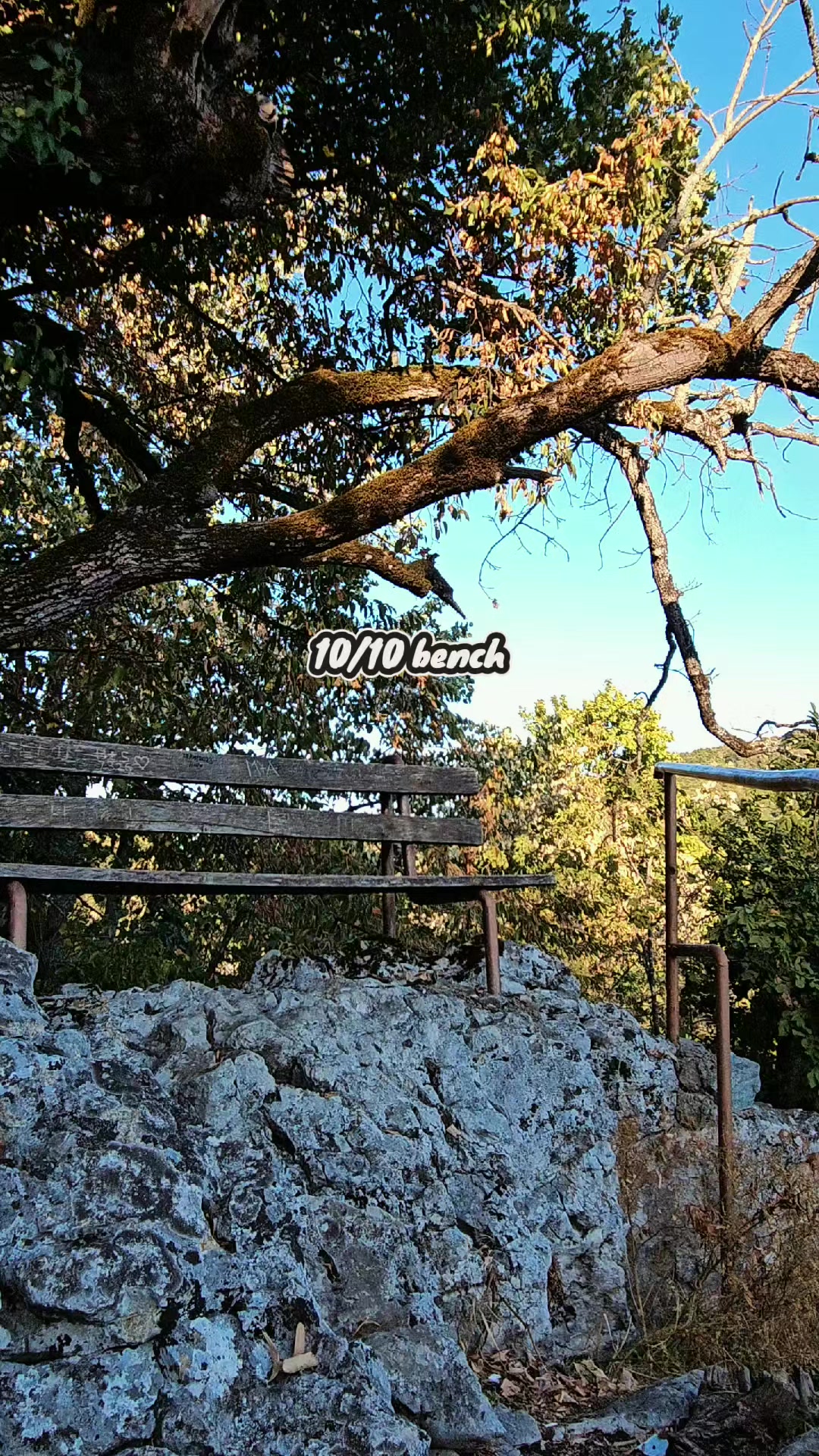 @Tamara