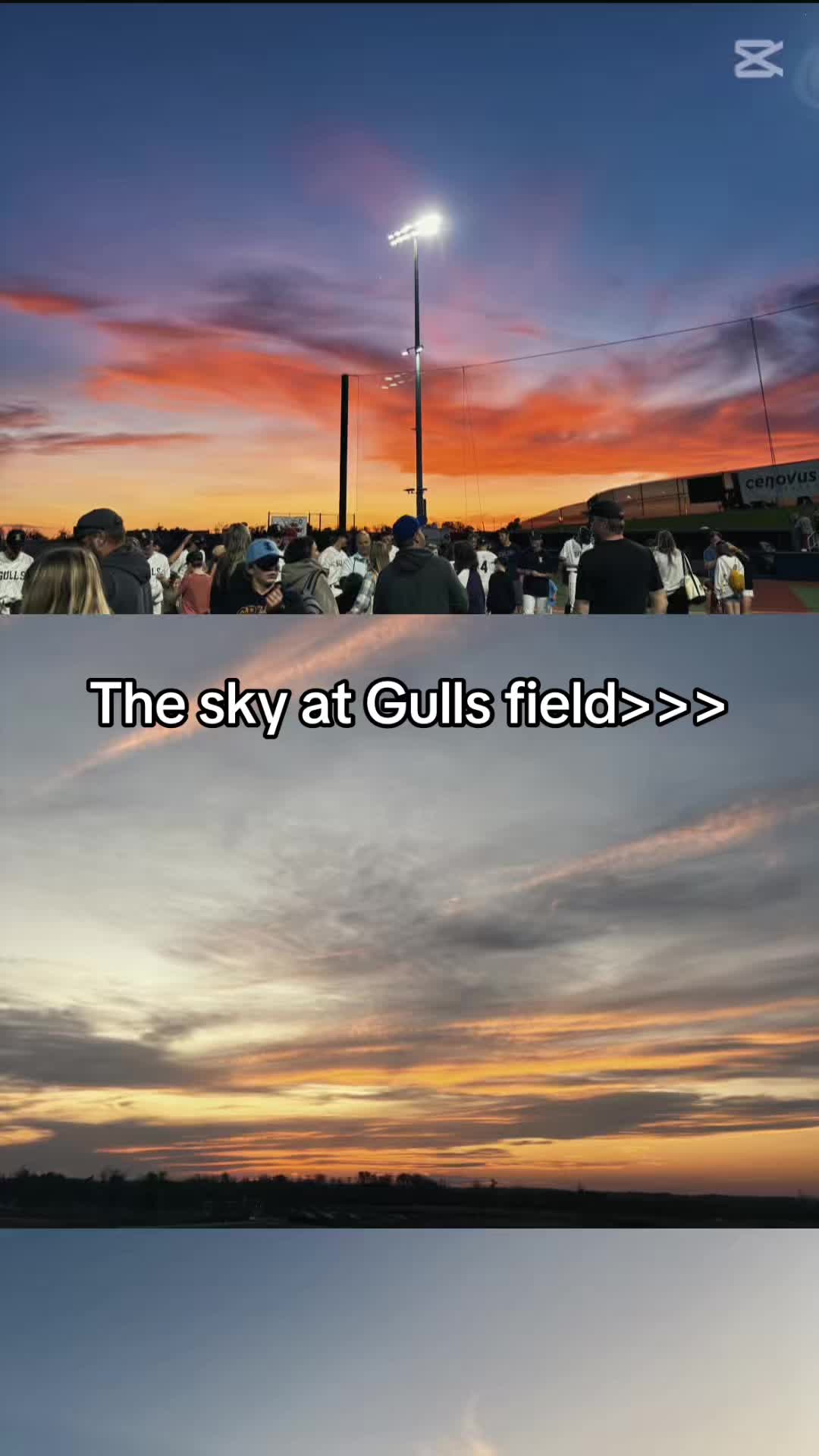 @SL Gulls