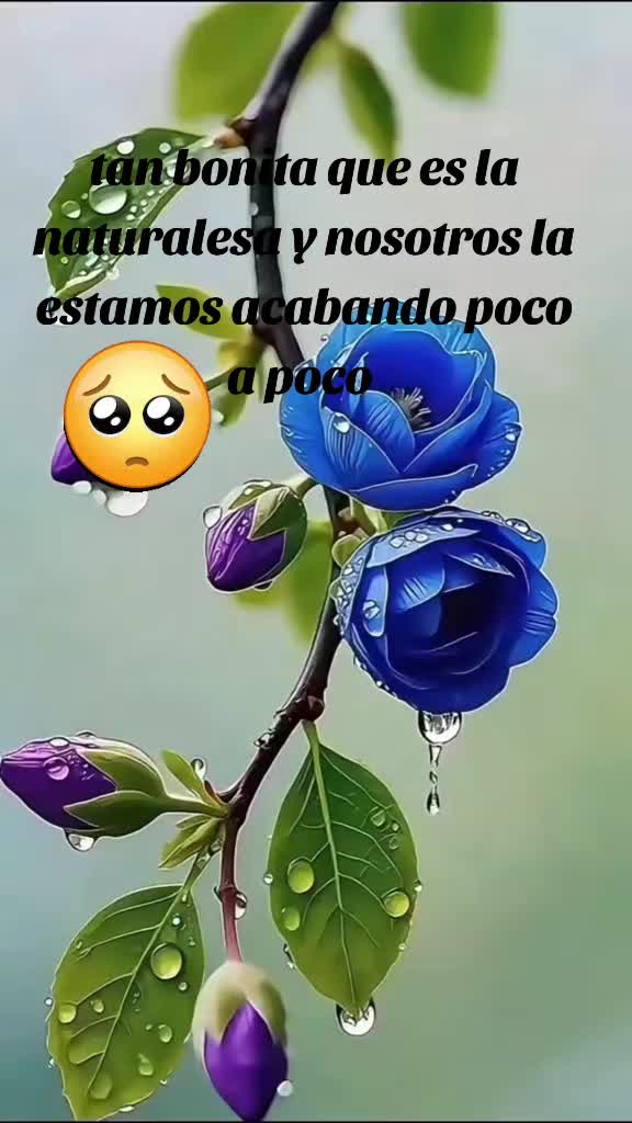 @LATZAC