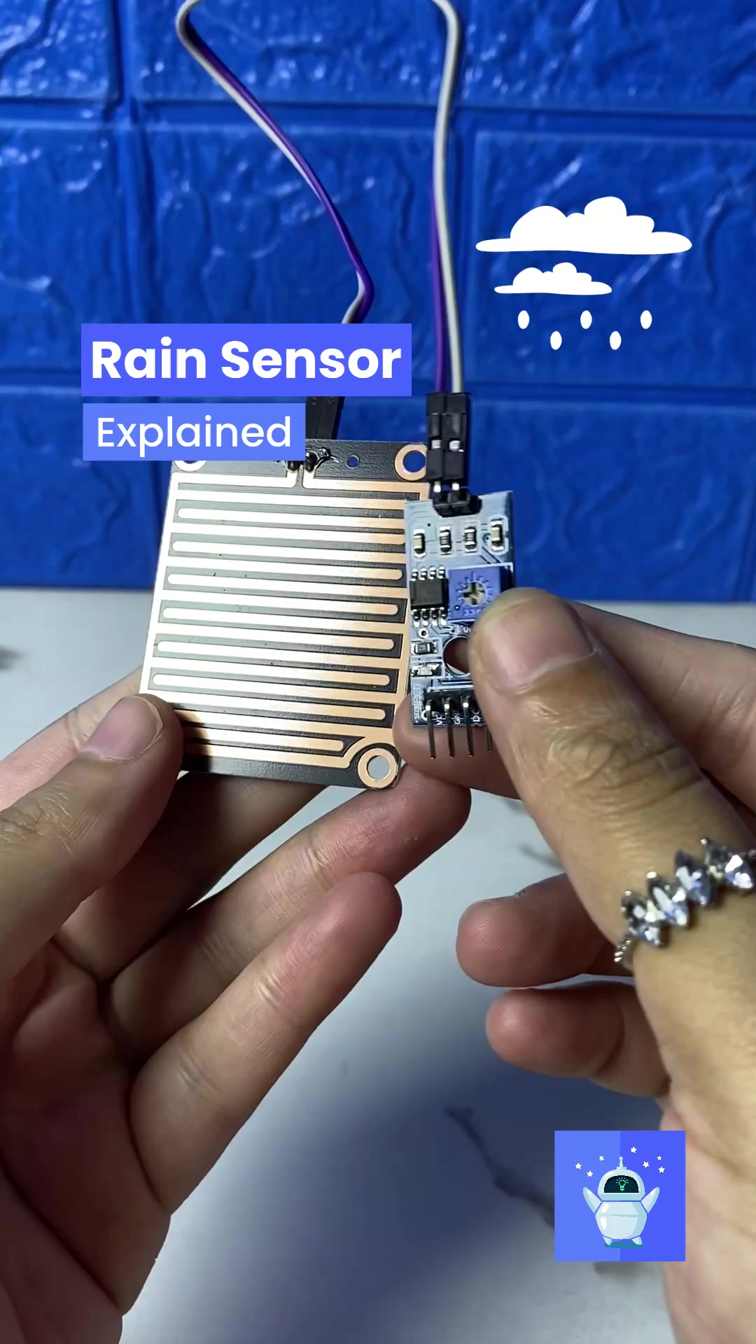 @Roboduino