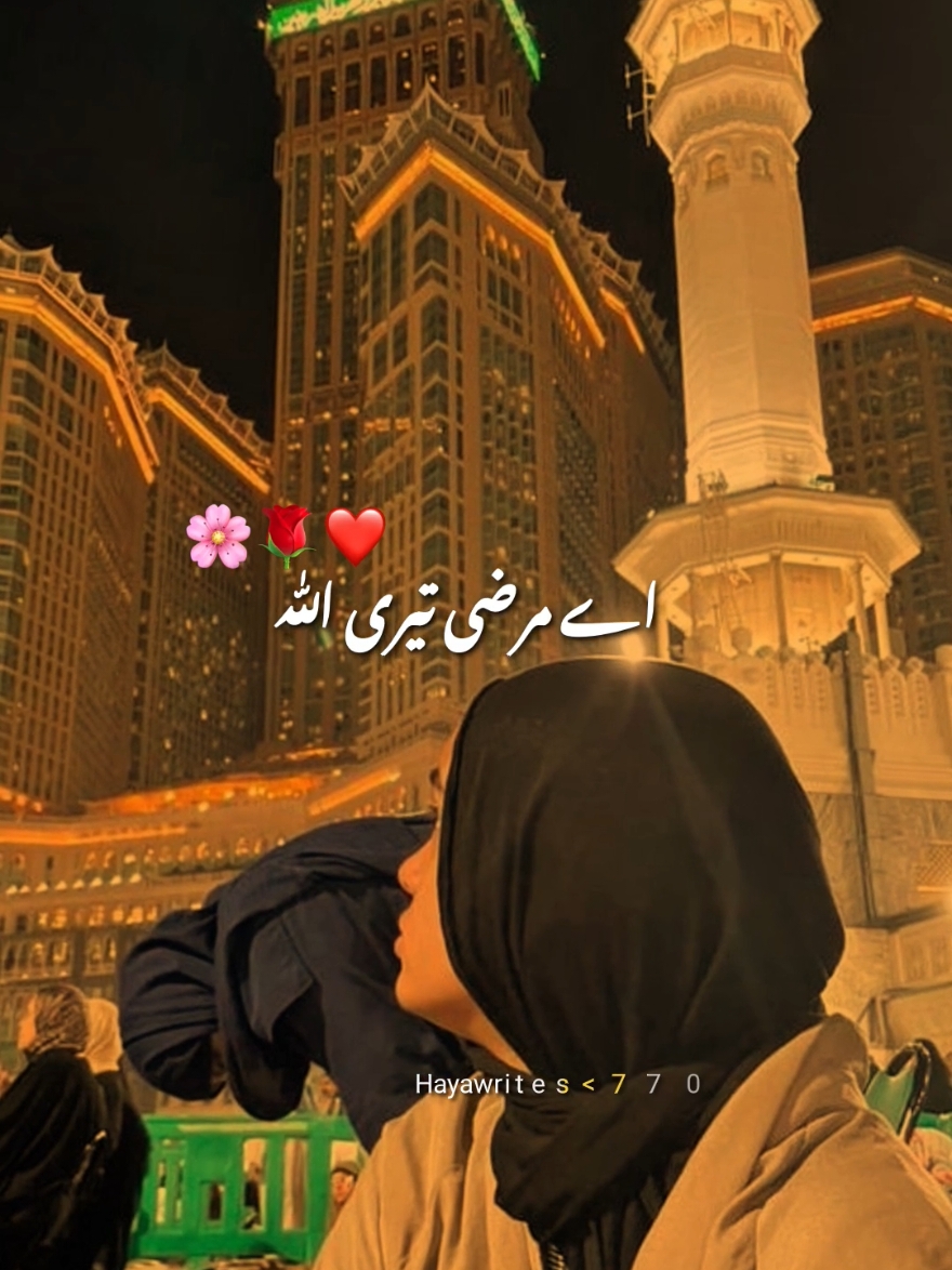 @Haya