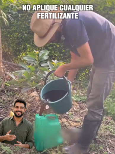 @Grow Garden | Plantas