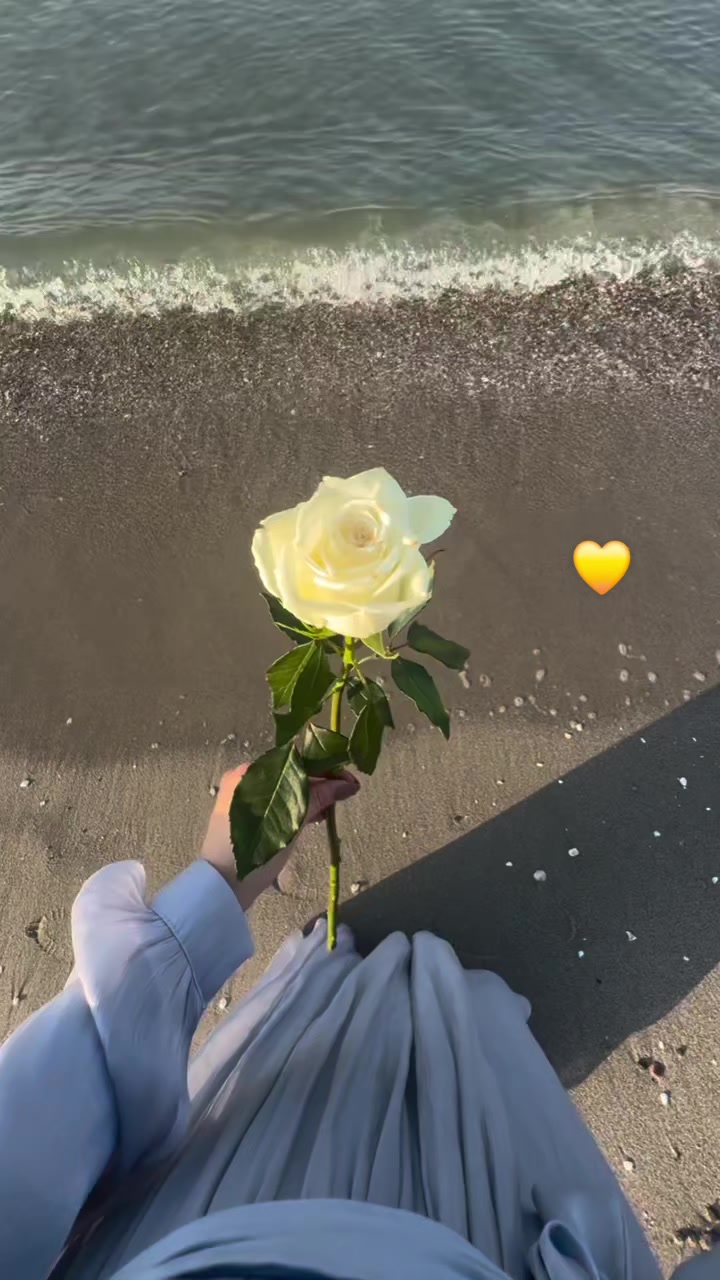 @💛🌻꧁༺ الأصيلـة ༻꧂💛🌻