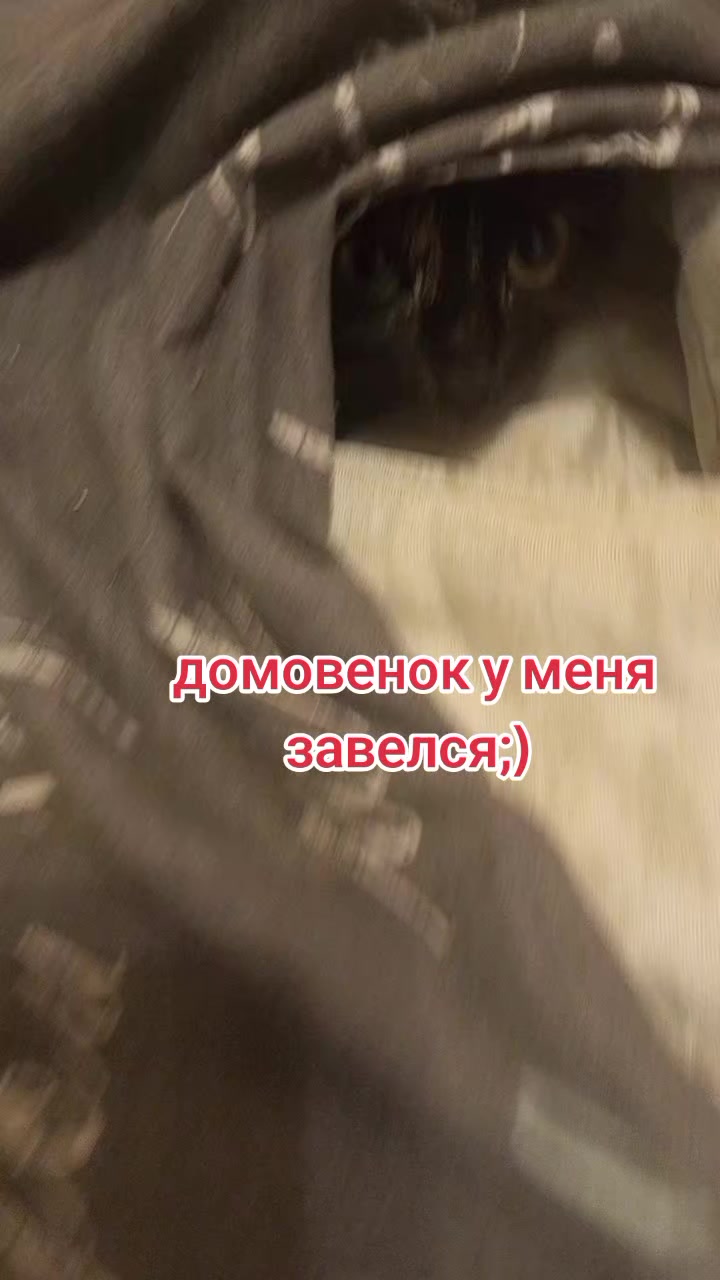 @Сатаненок