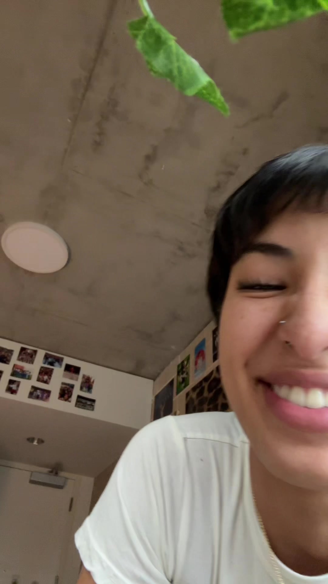 @vixiecuttt