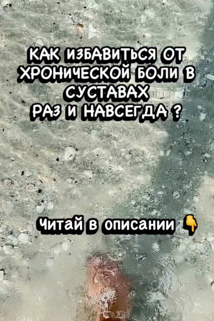 @🪸Mila.S