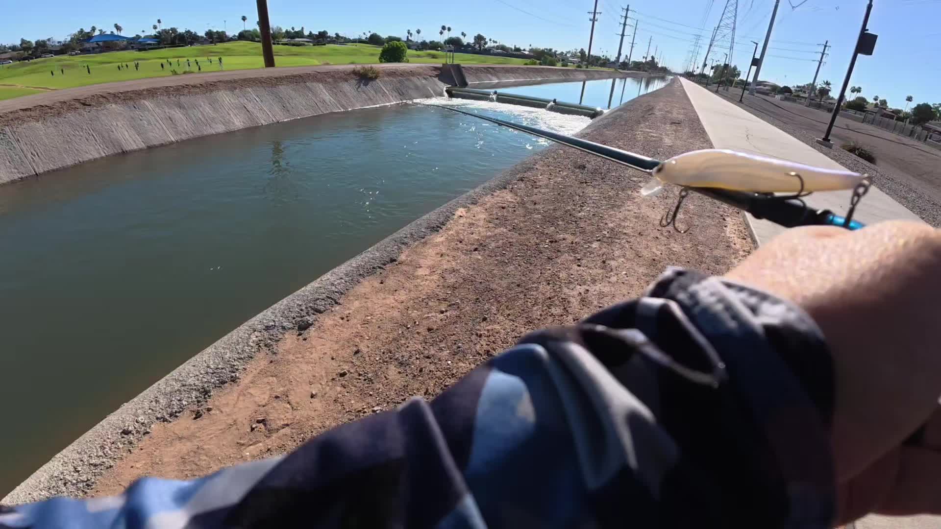 @SalmonInTheDesert