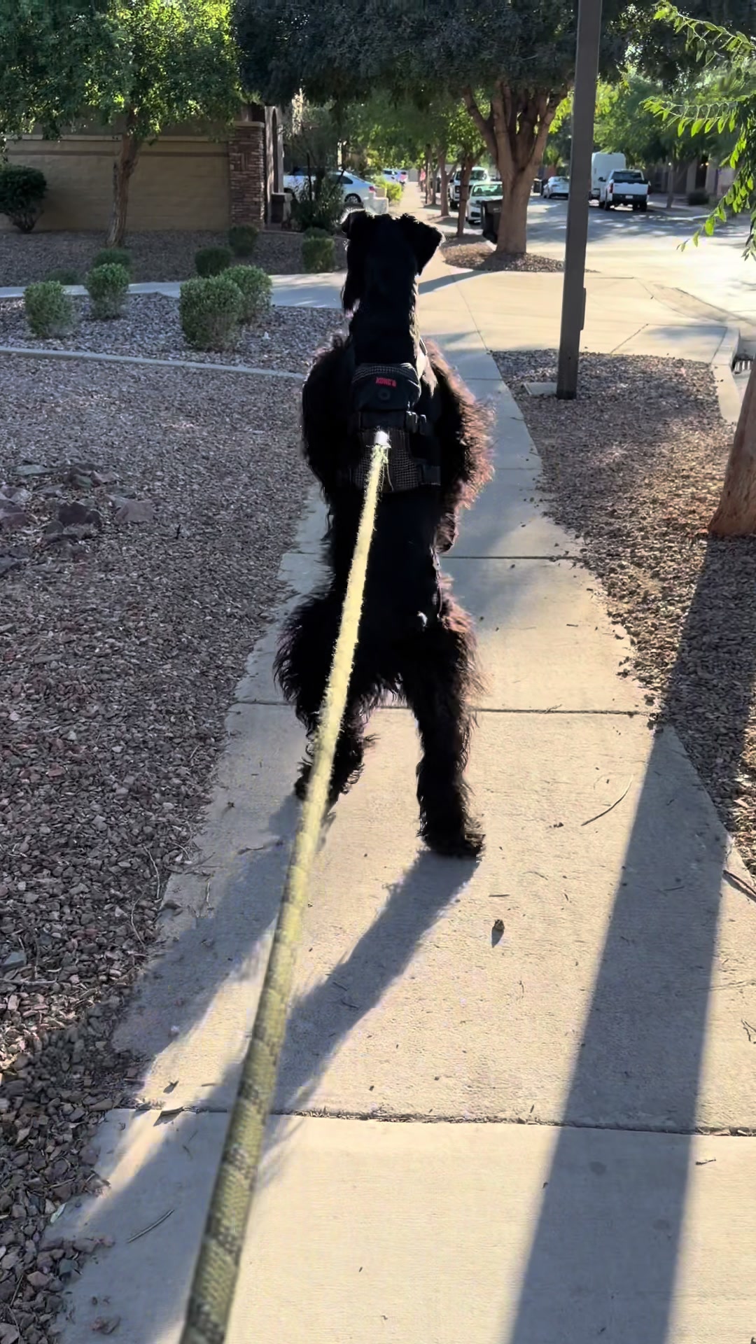 @Fiona Walks