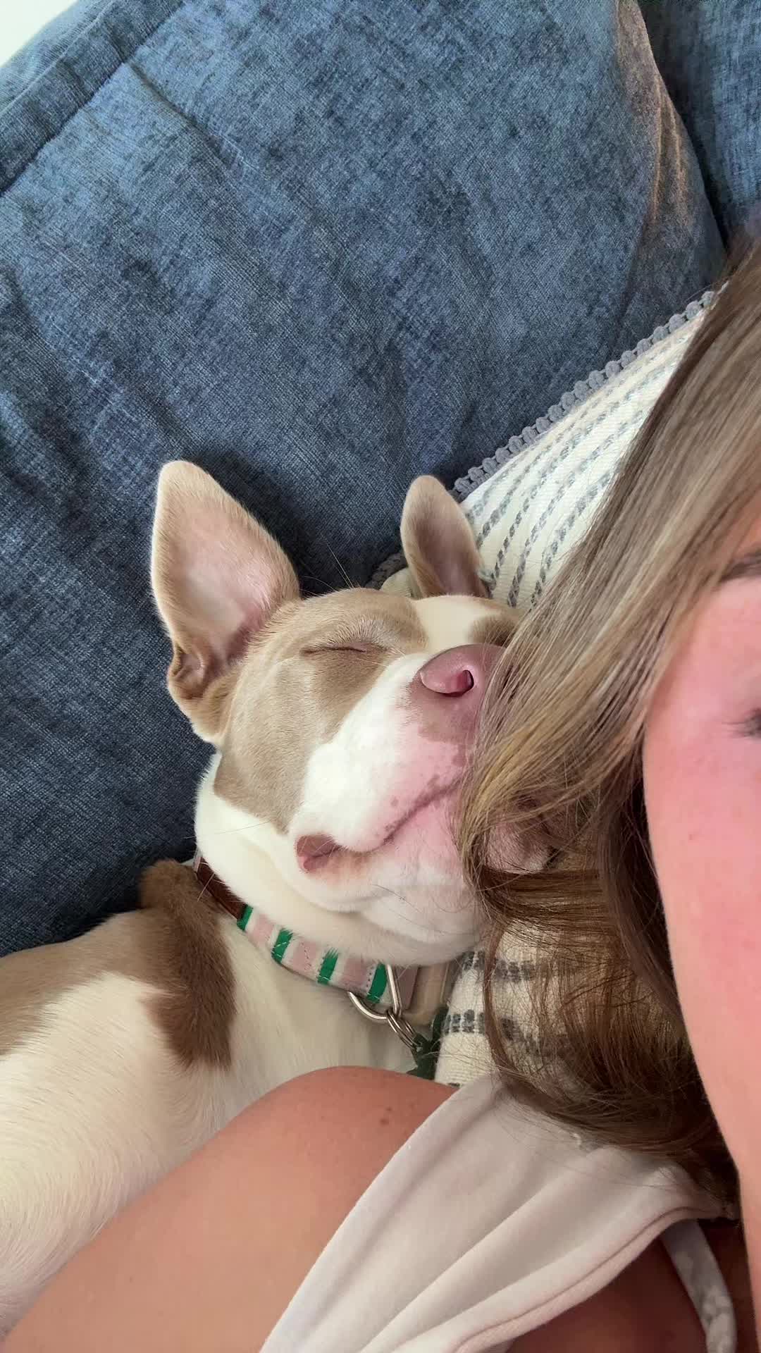 @Millie The Pitty