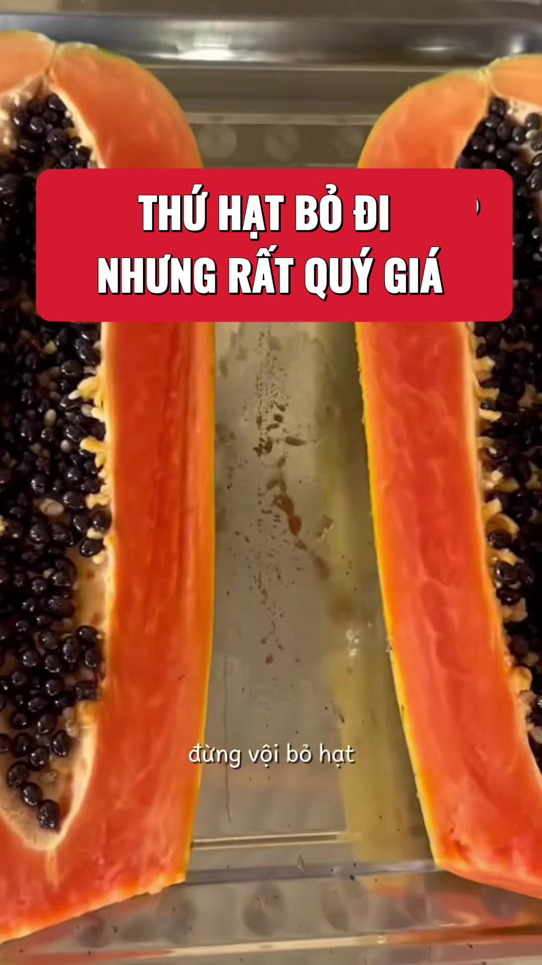 @suckhoevang98