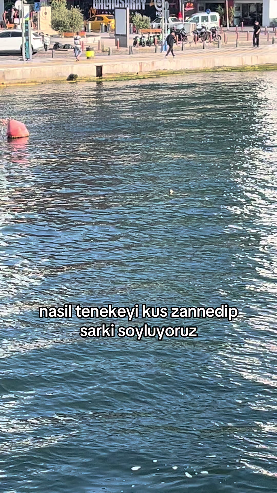 @nisa