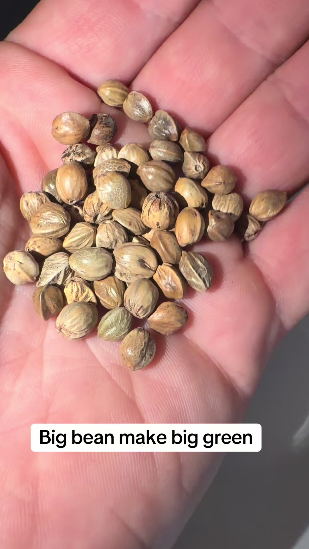 @SEEDTIVA