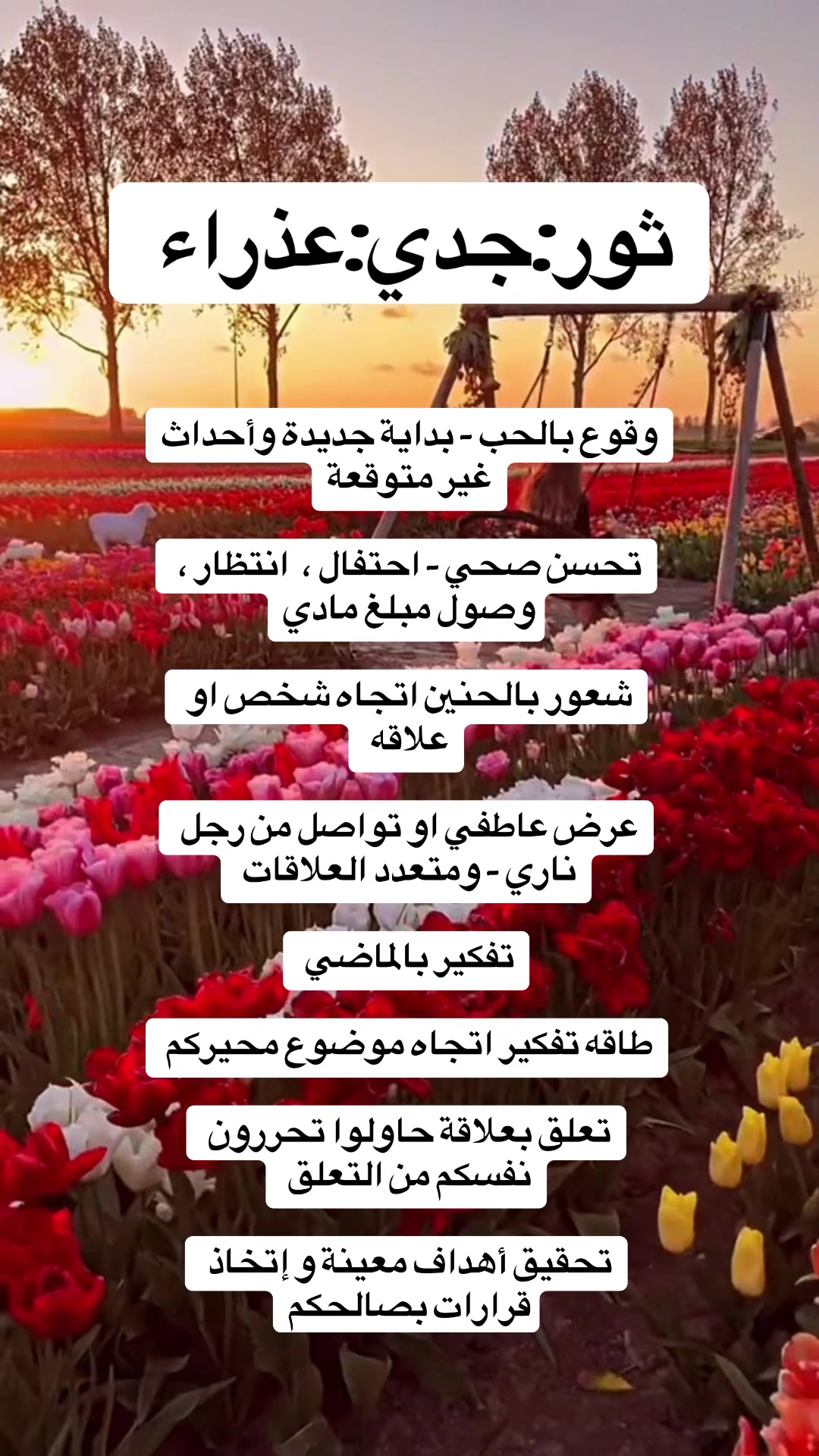 @talentation 🪽