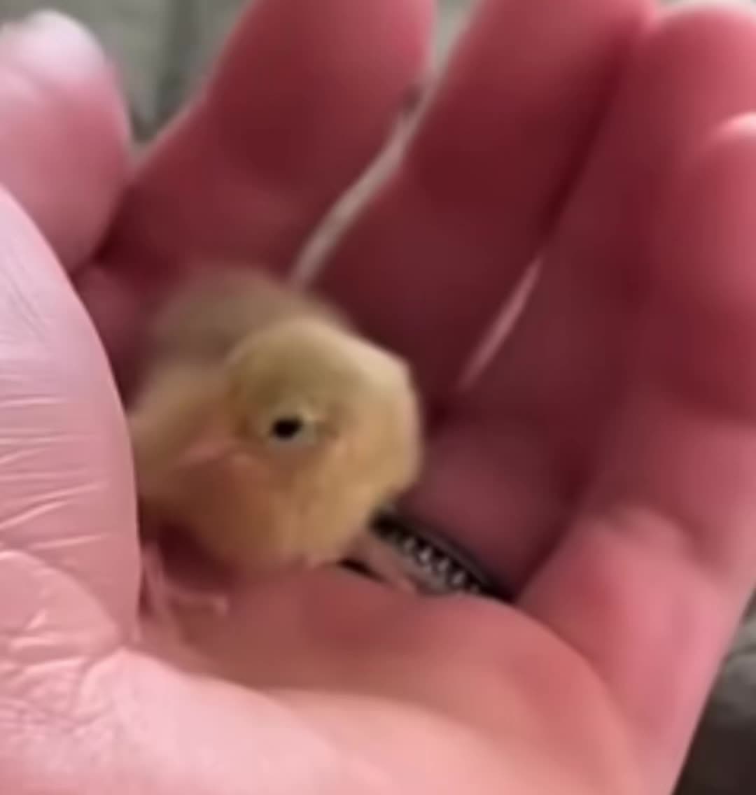 @(ﾉ◕ヮ◕)ﾉ*:･ﾟ✧
