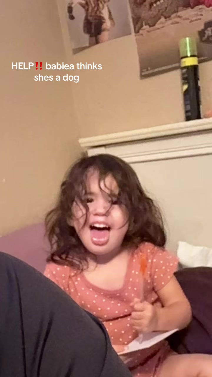 @joemama🐒