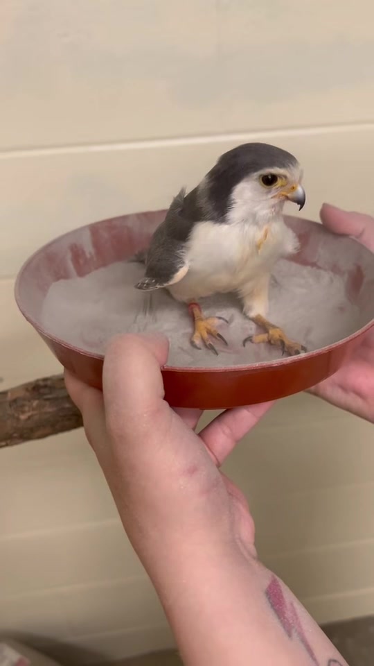 @Cincinnati Zoo
