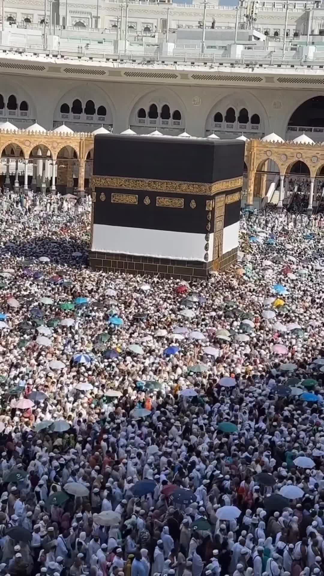 @user82088096830